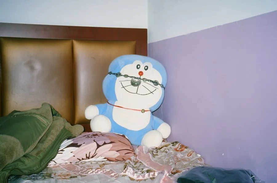 Canaan Pillows Pillows